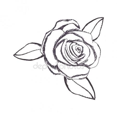 450x450 Portrait Of Beautiful Woman With Red Rose In Hair Stock Vector