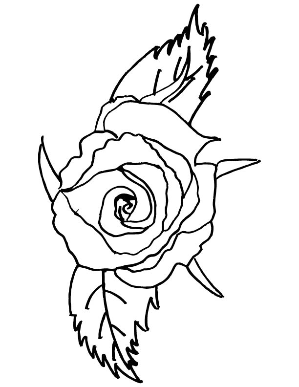 612x792 Red Rose Coloring Page Things To Color Free Printable