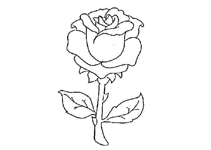 700x500 Rose Coloring Page Rose Coloring Page Free Compass Rose Coloring