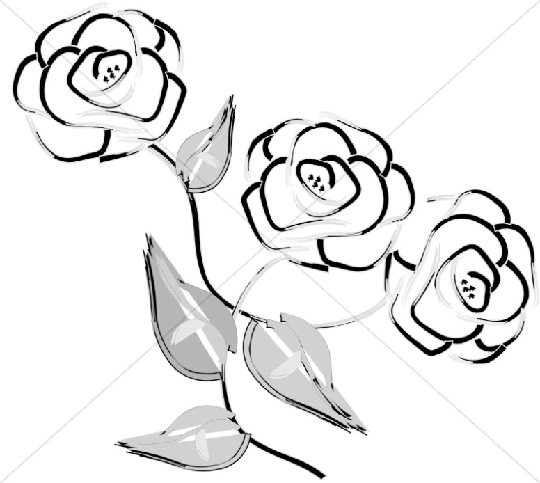 776x694 Cartoon Rose Drawing