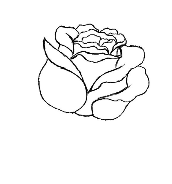 579x620 How To Draw A Red Rose Beautiful Red Roses, Art Techniques