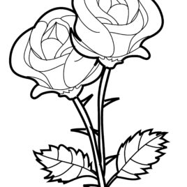 268x268 Red Rose Coloring Page Kids Drawing And Coloring Pages