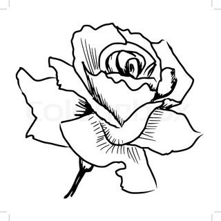 320x320 Three Red Roses On A White Background Stock Vector Colourbox