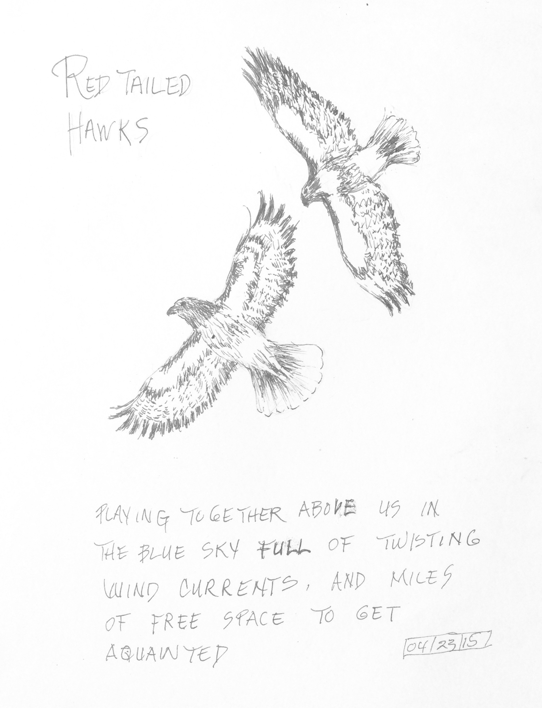 1884x2461 April 2015 Sketching On Whidbey Island