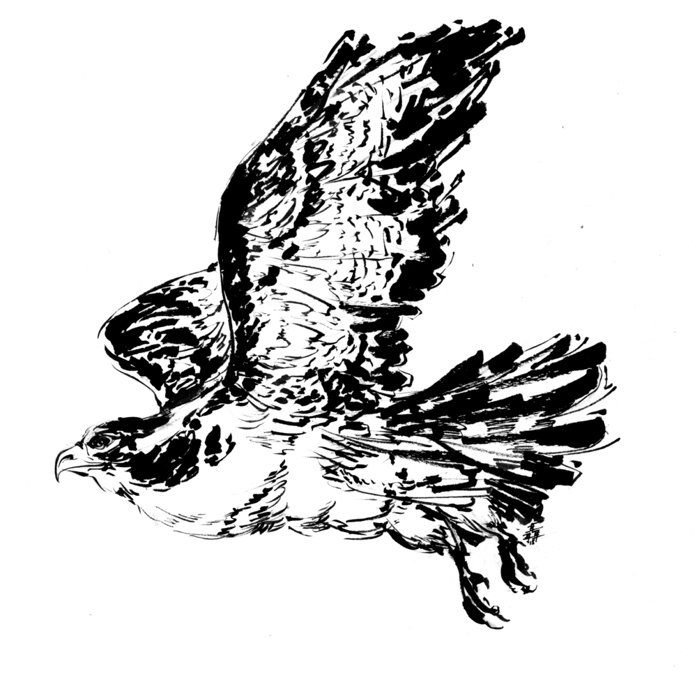 1000x965 Ink Alyssa Nip