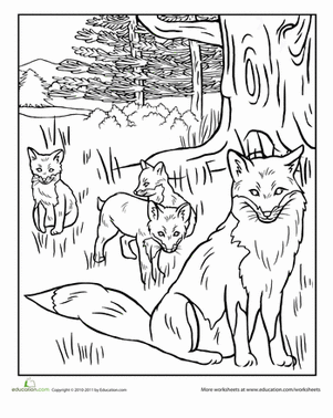 301x378 Red Tailed Hawk Worksheet