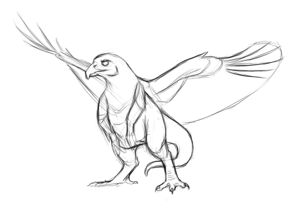 600x411 Red Tailed Hawk Dragon Sketch By Mythsanddreams