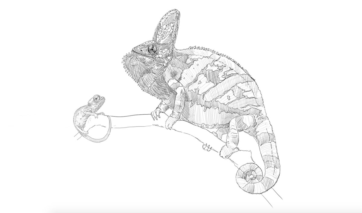 1200x708 Sauropsidsaturday