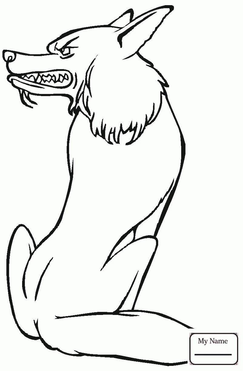 802x1224 Florida Red Wolf Mammals Coloring Pages