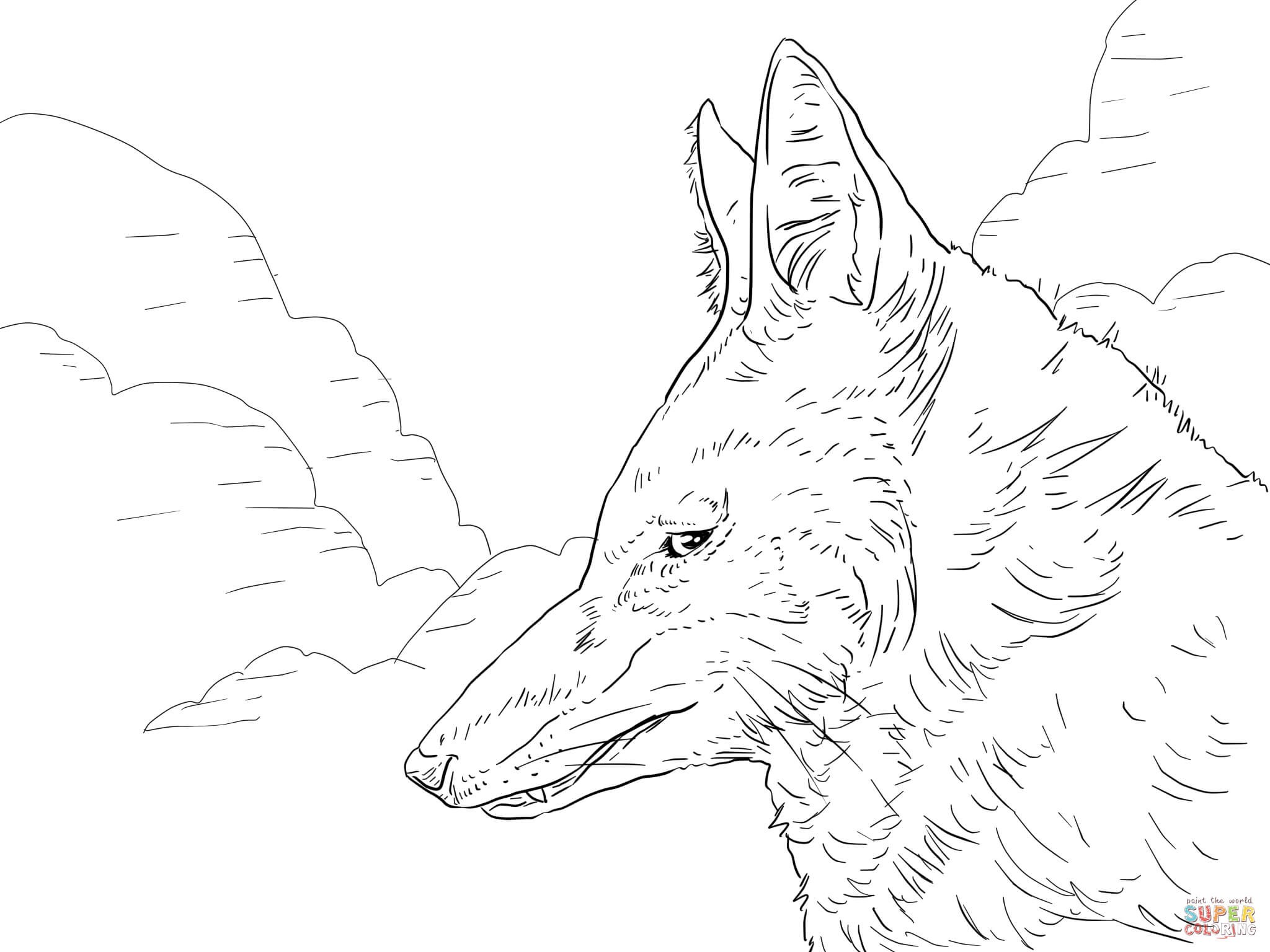 2048x1536 Red Wolf Coloring Pages New Red Wolf Coloring Page