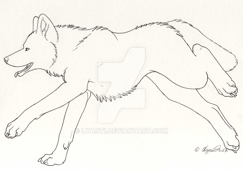 800x565 Red Wolf By Lyanti