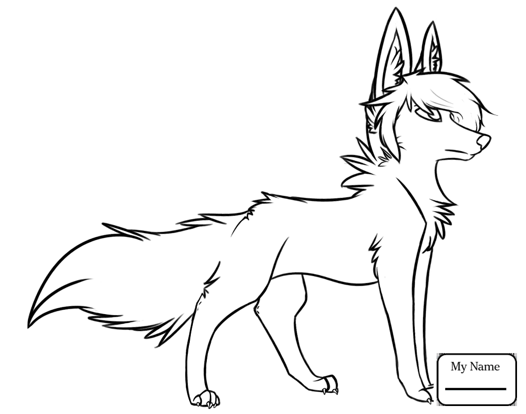 1053x829 Coloring Pages Wolf Mammals Red Wolf