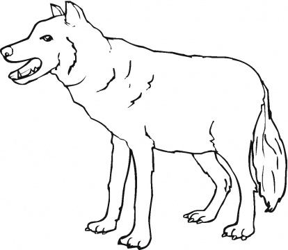 414x360 Coloring Pages Red Wolf For Beatiful Draw Image Page Dringrames