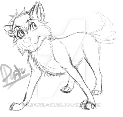 400x380 Dante Sketch By Red Wolf Dante