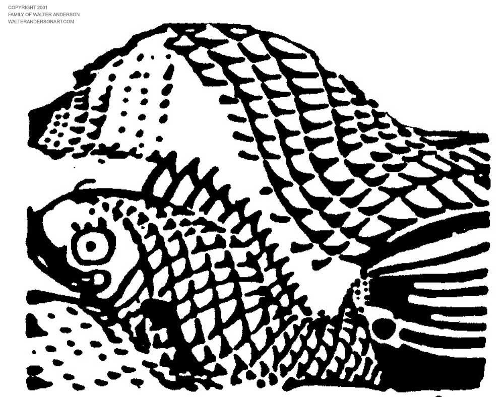 1000x788 Redfish And Water From Wind, Wave And Bird Realizations