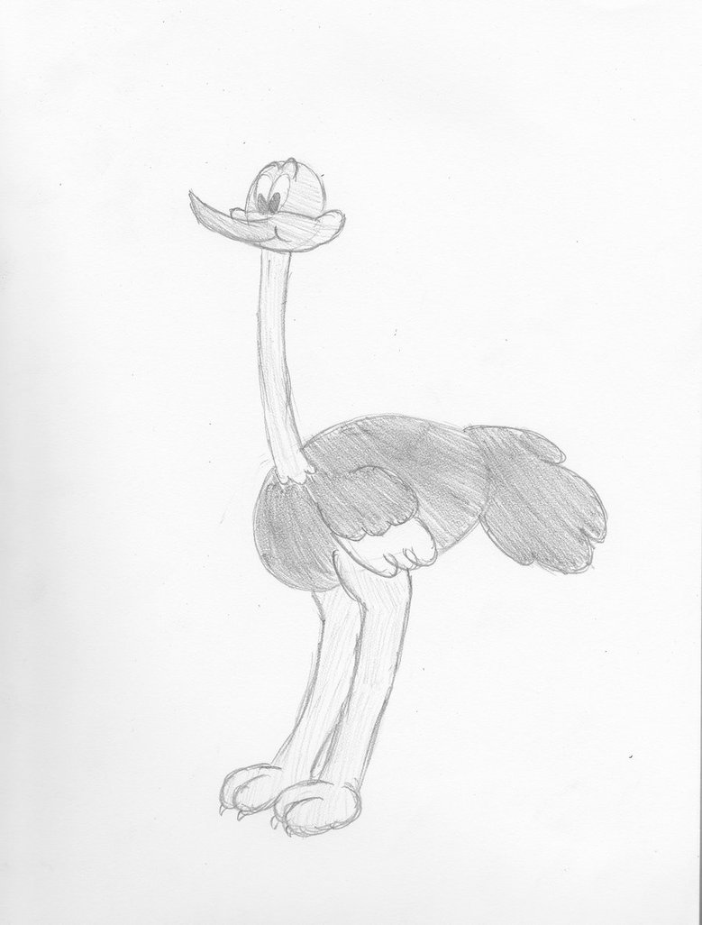 779x1026 Cartoon Ostrich Sketch By Redfishgirl