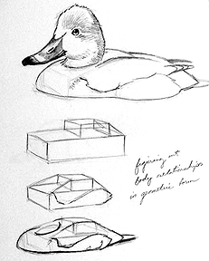 231x288 Some Practical Things .to Help Improve Over Time!