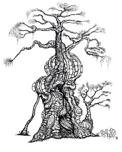 240x300 Redwood Forest Drawings Fine Art America