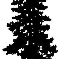 250x250 Skywood Partners Business Valuations