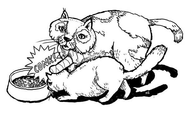 600x368 Illustration For Catster Editorial