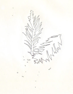 246x320 Ilsa Loves To Draw Redwood Leaves Ii