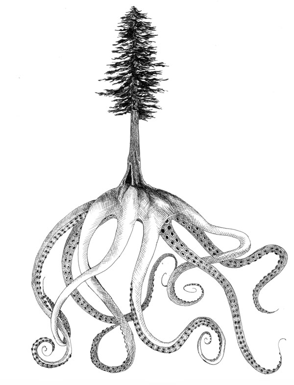 600x785 Laitken Drawing