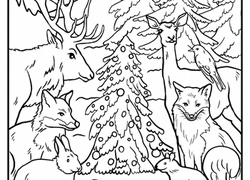 250x180 Forest Coloring Pages Amp Printables