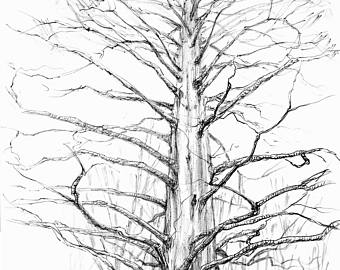 340x270 Marietta Etsy