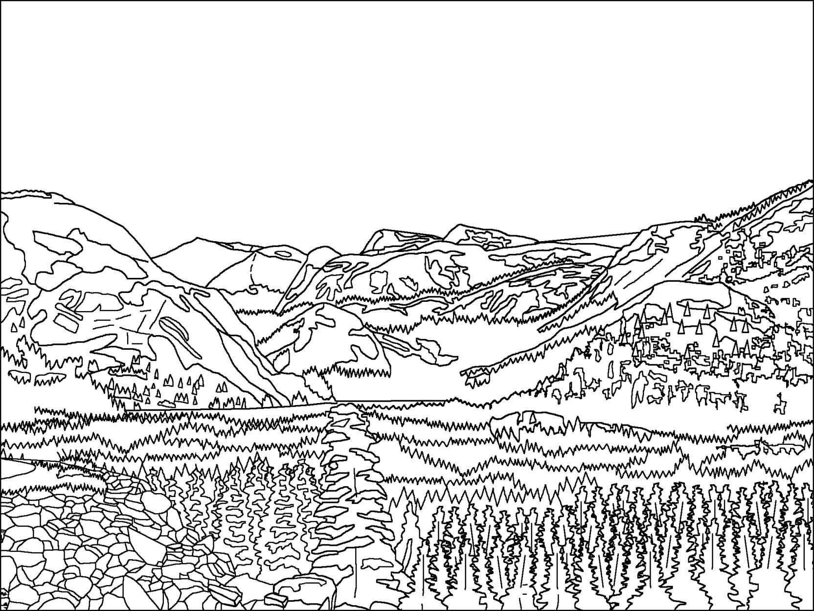 1664x1249 Redwood Forest Coloring Page Online Coloring Printable