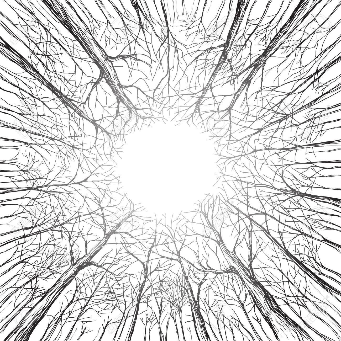 1299x1300 Trees In A Forest Look Up Winter Autumn Hand Drawn And Converted