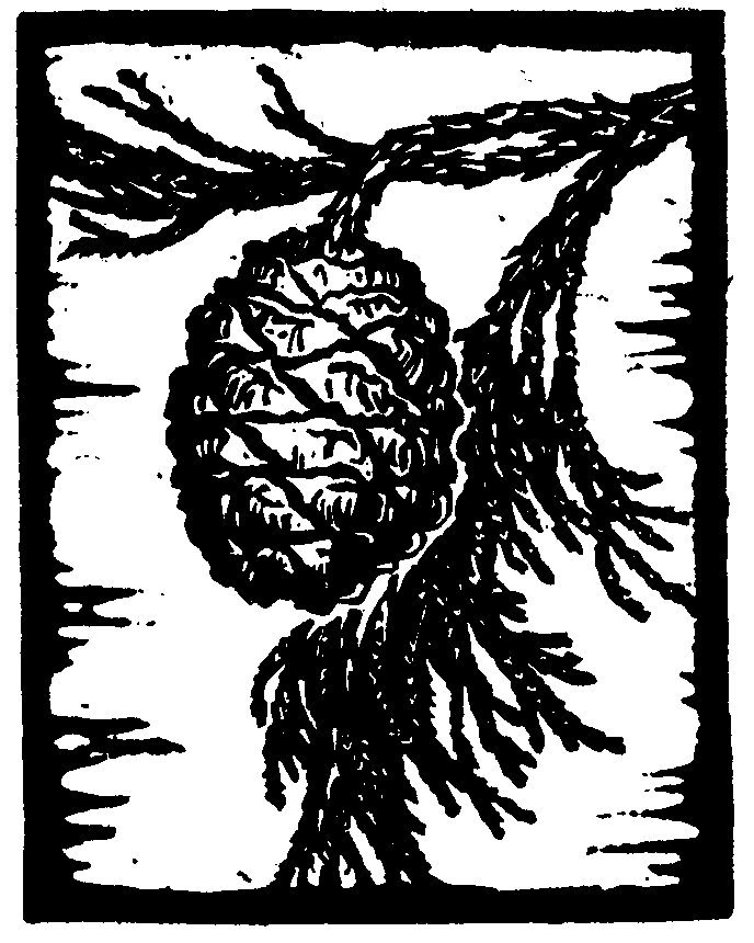 688x860 Trees Of Yosemite (1932, 1948), By Mary Curry