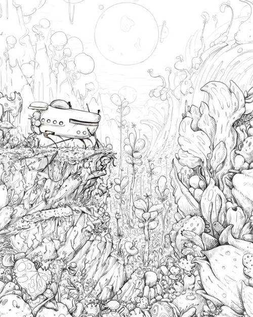 500x625 Botany Drawing Tumblr