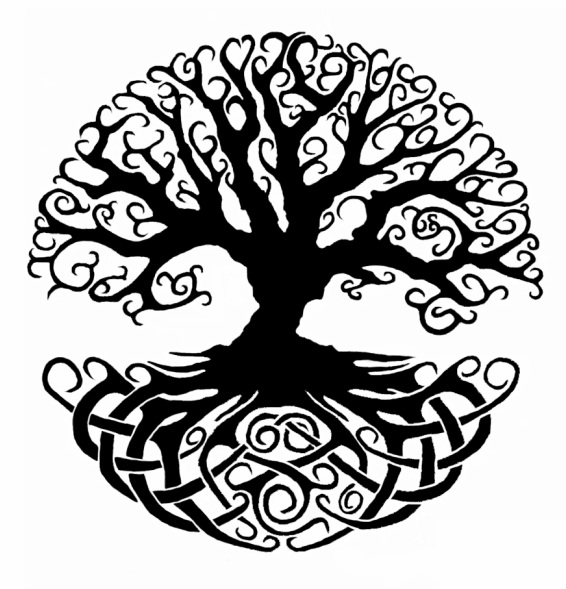 566x589 The Tree Of Life