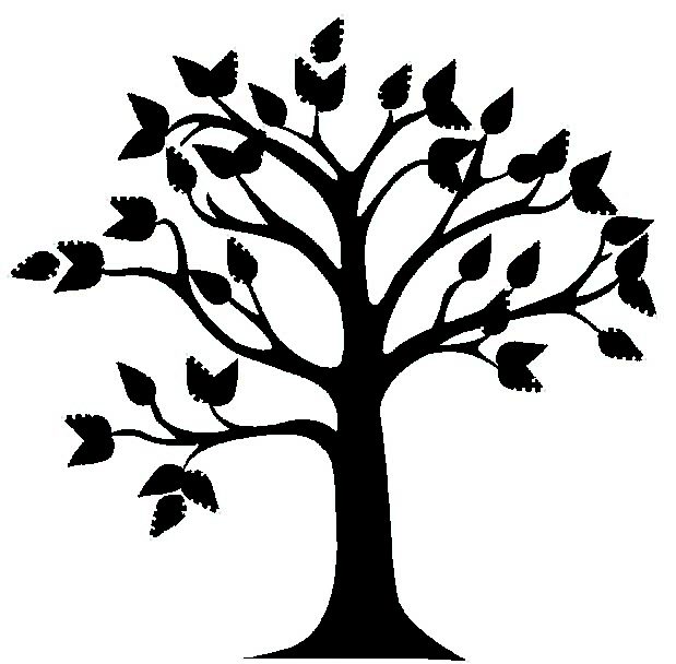 619x608 Tree Clipart Black And White Free