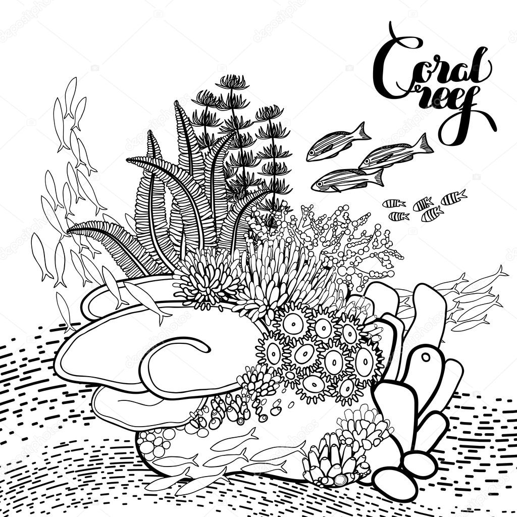 1024x1024 Coral Reef Plants Drawing