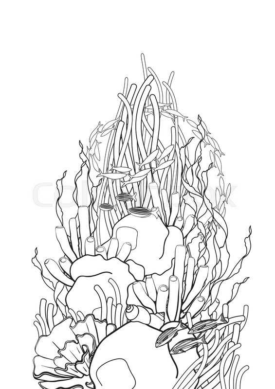 565x800 Coral Reef In Line Art Style. Ocean Plants And Rocks Isolated