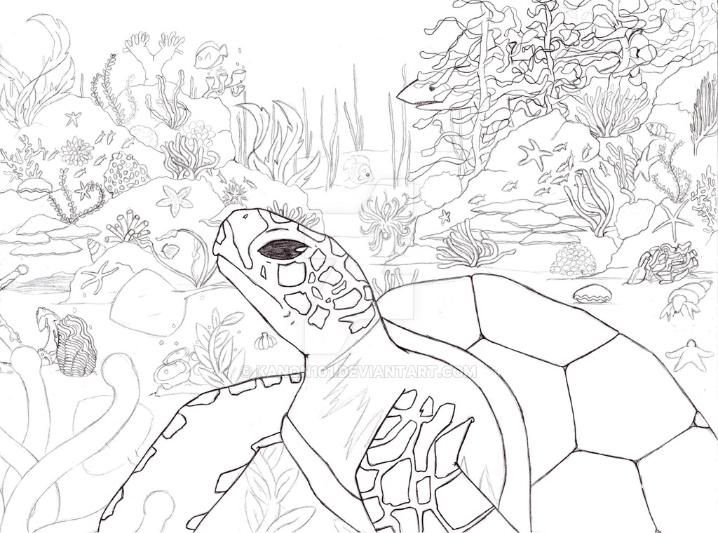 1024x760 Ocean Reef By Kanon101