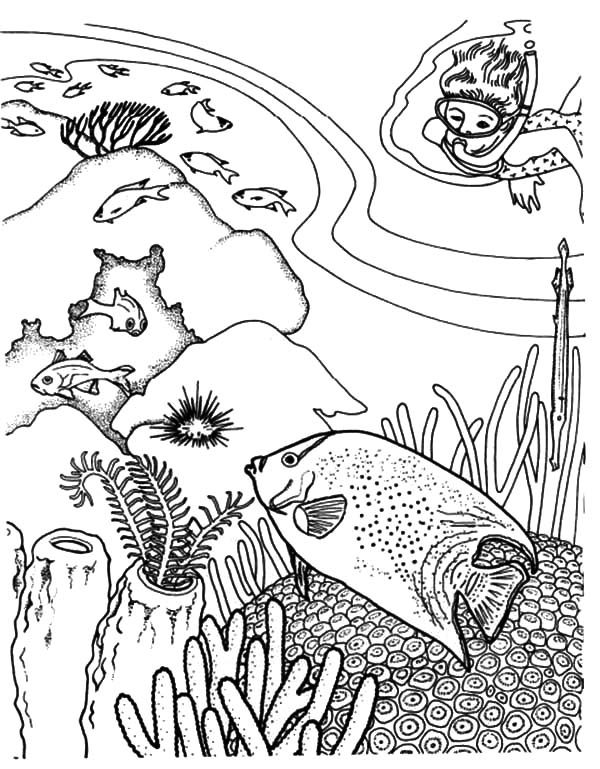 600x769 Coral Reef Coloring Pages 508707