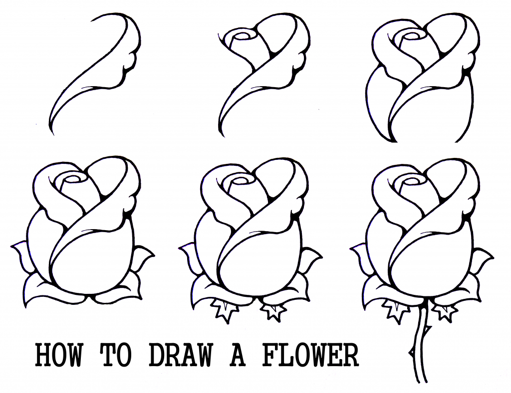 1024x789 Flower Drawing Reference Easy Lotus Flower Drawings Art Journals