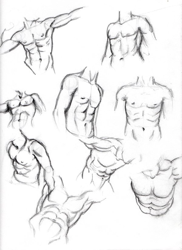 600x826 Male Body Sketches By Vinnie14
