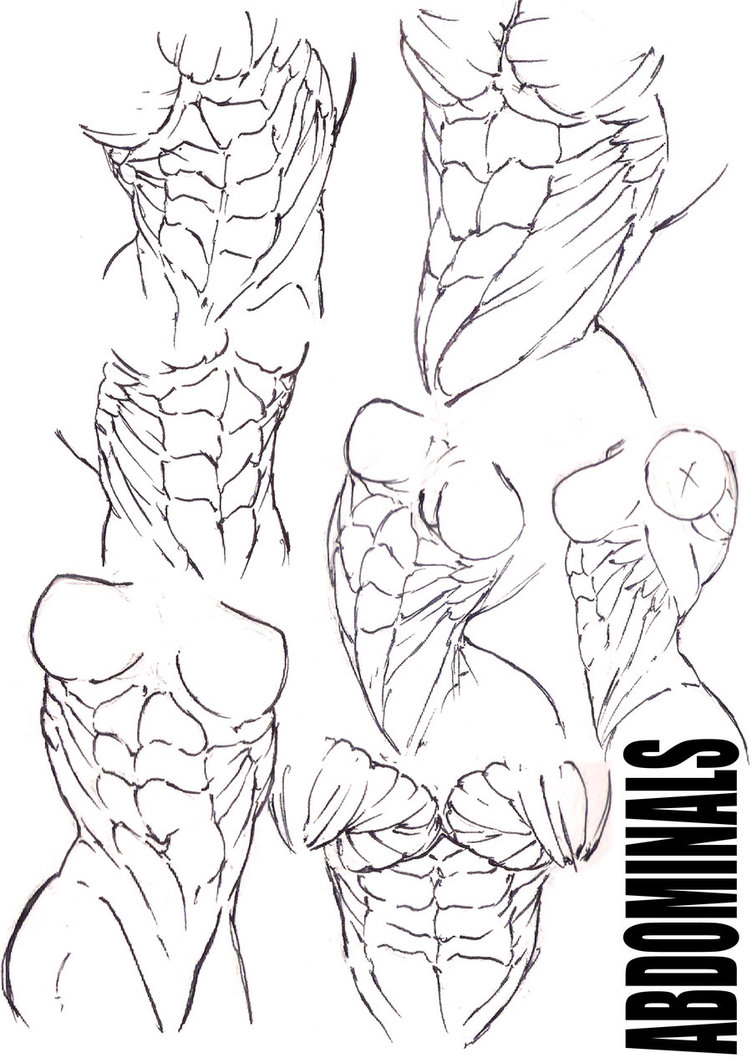 752x1063 Abs Abs Abs By Newberrychucks