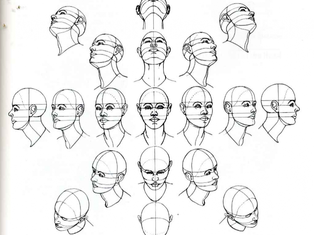 1024x768 Face Drawing Reference 1000 Images About Drawing The Human Head