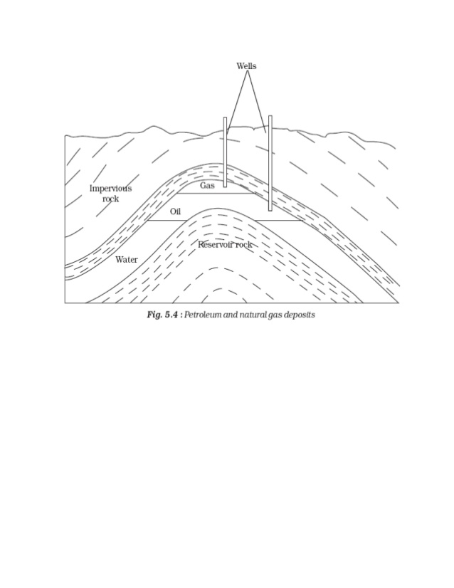 638x826 Coal And Petroleum.
