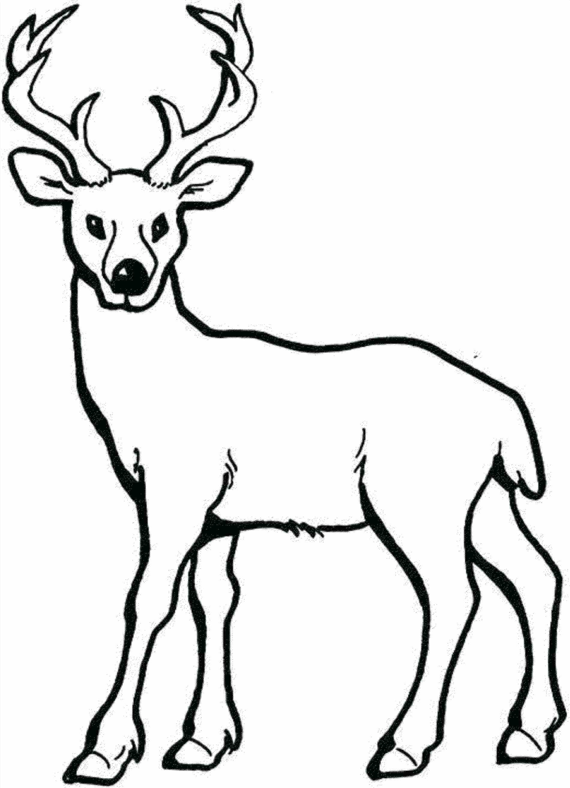 1899x2625 Reindeer Silhouette Stencil Outline Drawing Headband Free Vector