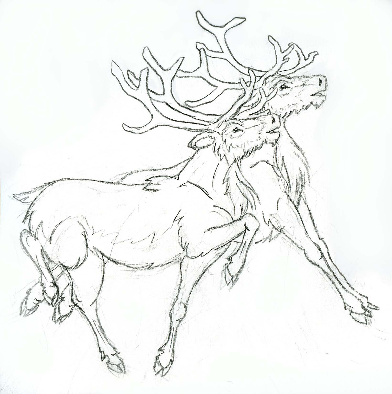 1642x1650 Reindeer By Lizzy23