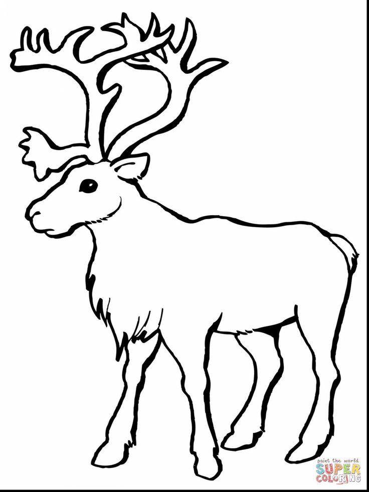 736x981 Best Reindeer Face Ideas On Reindeer Face Paint