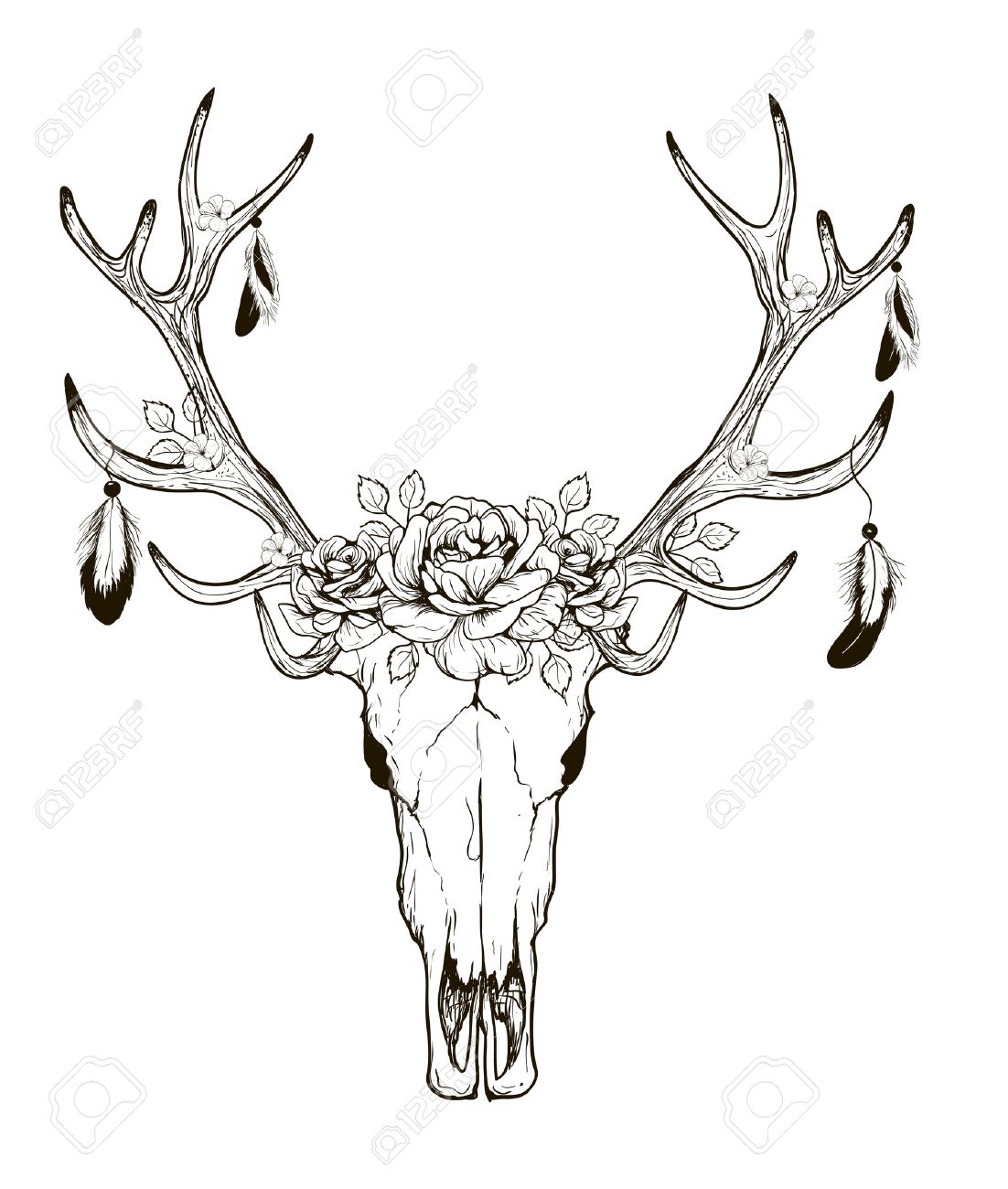 1102x1300 Deer Skull Black White Sketch, Illustrations Drawing Cow Skull