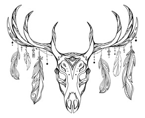 293x240 Search Photos Deer Head