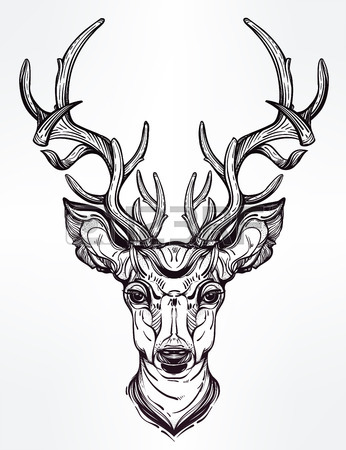 346x450 Colorful Deer, Vector Royalty Free Cliparts, Vectors, And Stock