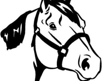 340x270 Quarter Horse Etsy